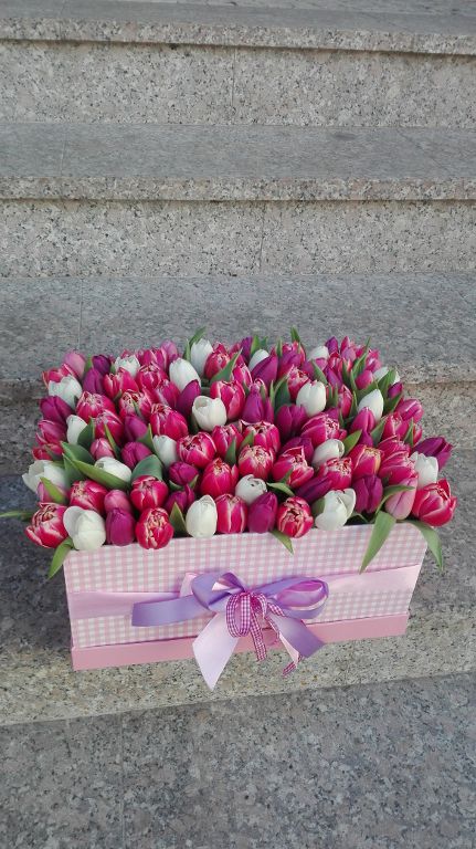 - 17 -<br />Maxi box - 100 tulipánů